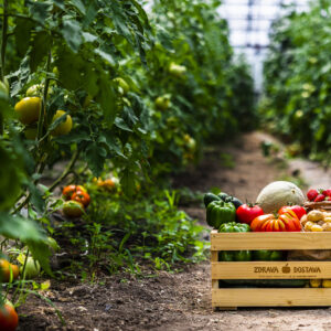 Combo Energía Tropical